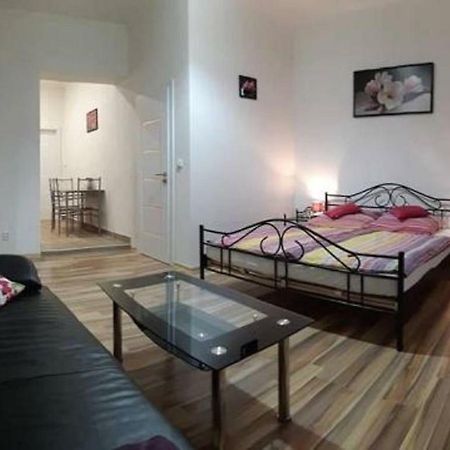 Apartment Krale Jiriho Karlovy Vary Ngoại thất bức ảnh