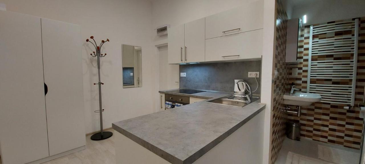 Apartment Krale Jiriho Karlovy Vary Ngoại thất bức ảnh