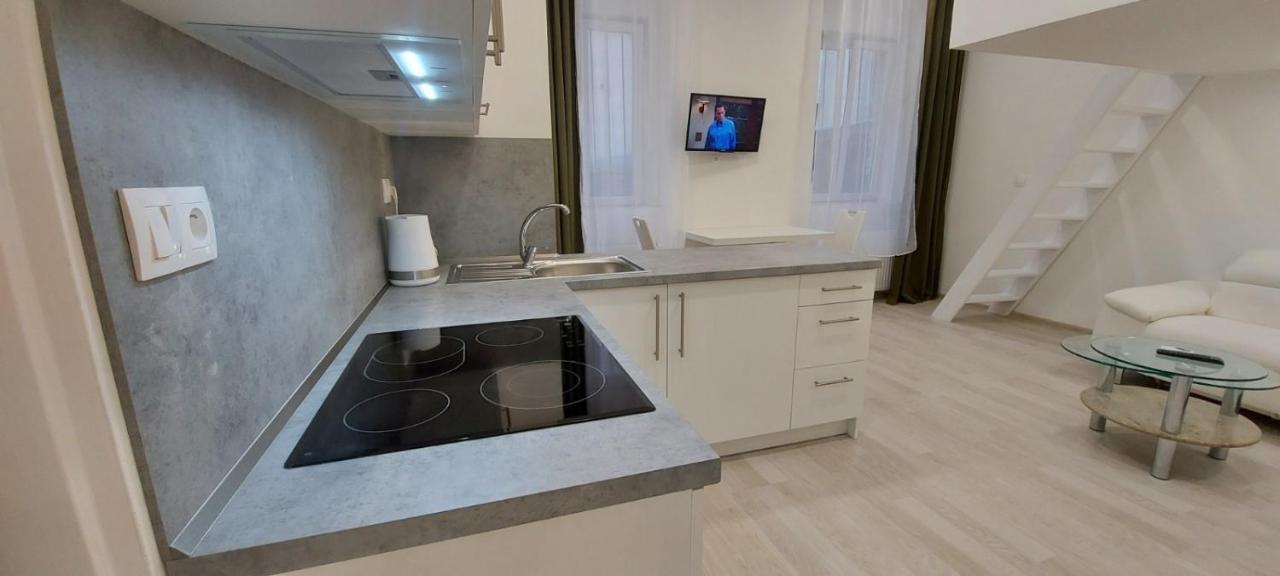 Apartment Krale Jiriho Karlovy Vary Ngoại thất bức ảnh