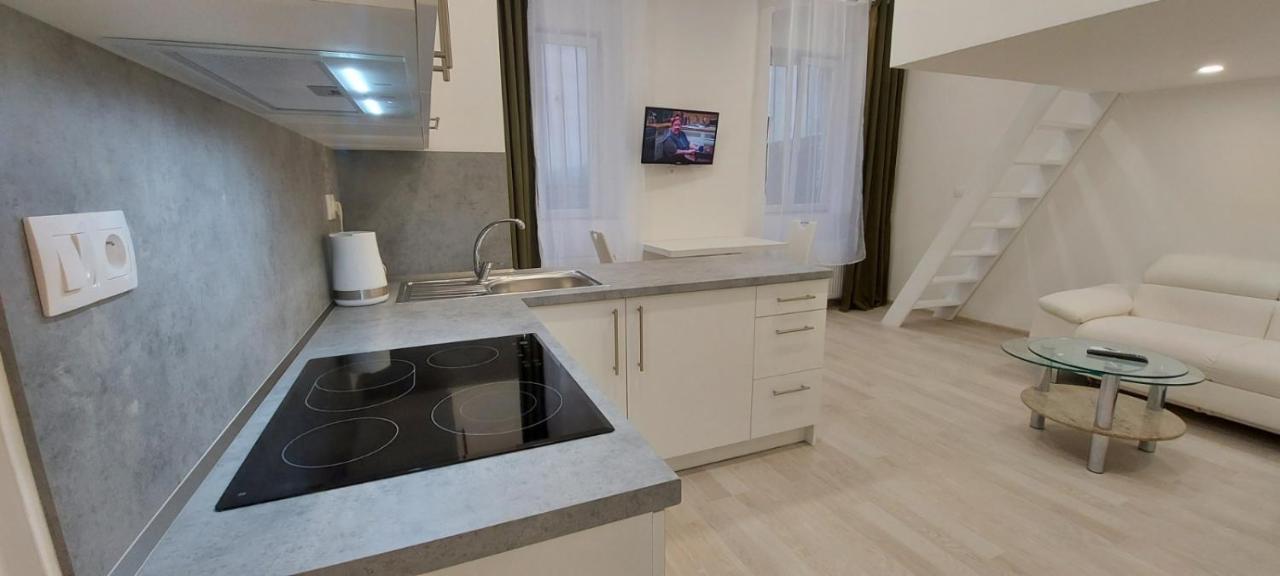 Apartment Krale Jiriho Karlovy Vary Ngoại thất bức ảnh